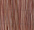 Fern Screen